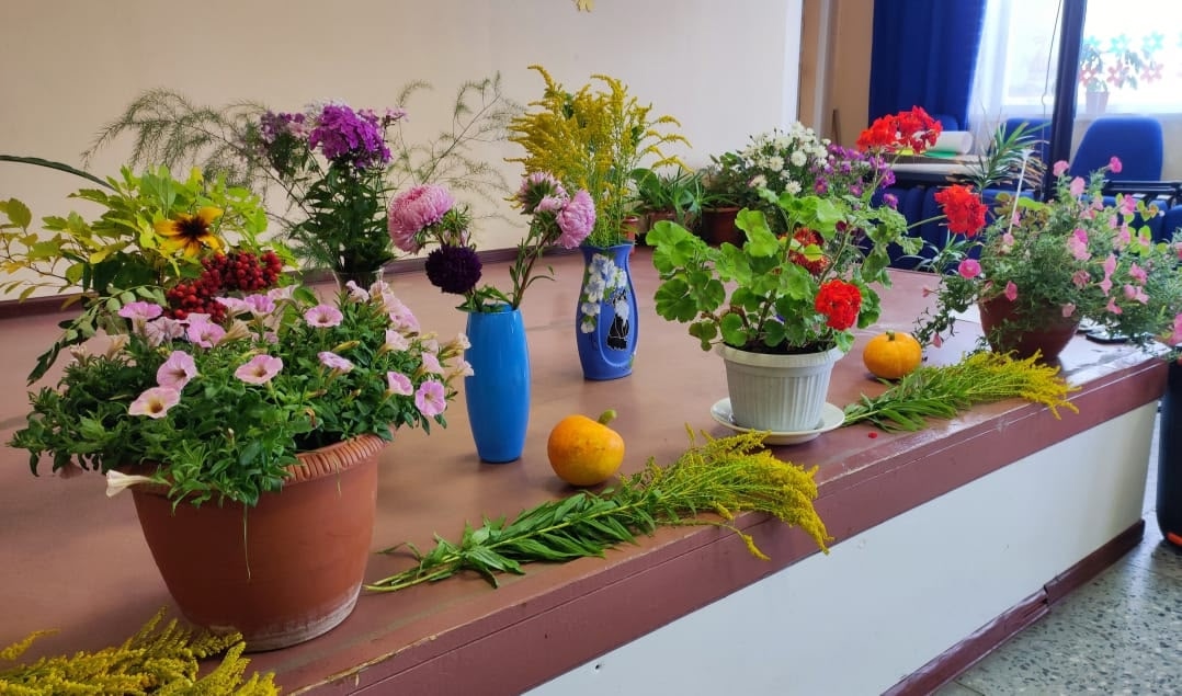 Поздравление